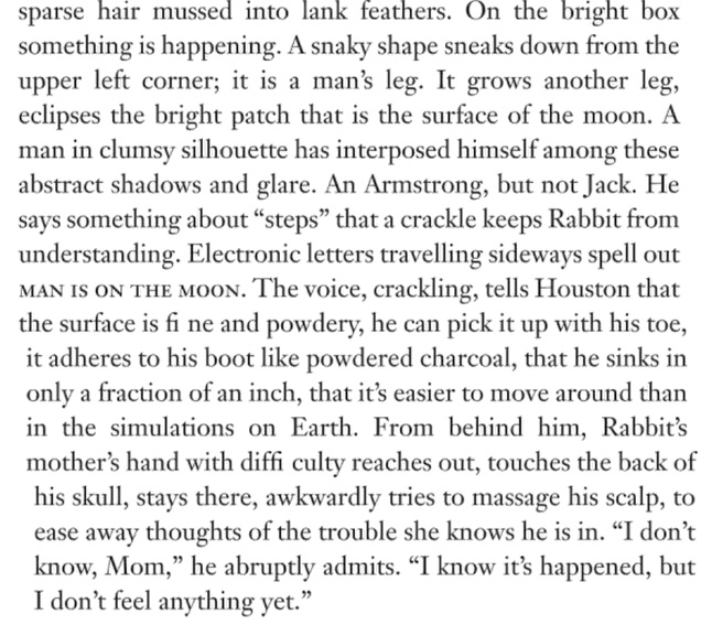 Updike Moon